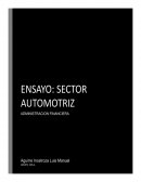 Administración financiera. Sector automotriz