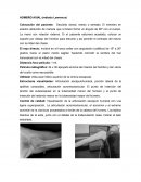 Posiciones hombro rayos x