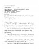 INCLUSIONES CITOPLASMATICAS