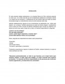 NEGOCIOS Banco de Chile