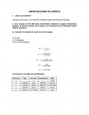 Amortizaciones de crédito
