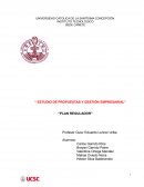 Estudio de propuestas y gestión empresarial