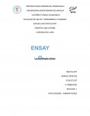 Ensayo introducción a la psicología clínica