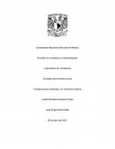 Contribuciones Indirectas y al Comercio Exterior