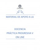 DOCENCIA PRÁCTICA PROGRESIVA V ON LINE