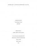 DISTRIBUCION Y LA ESTRATEGIA EMPRESARIAL EN VENTAS
