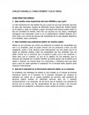 CASO PRACTICO ADIDAS