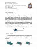 Resistencia de los materiales.Deformación Simple