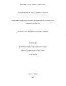PLAN Y PROGRAMA DE AUDITORIA DE SISTEMAS DE LA DIRECCIÓN REGIONAL DE SALUD