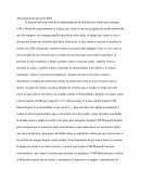 Descripción del proyecto PDD