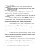 EL ROL DEL EMPLEADOR