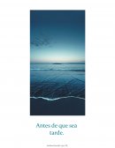 Antes de que sea tarde