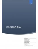 CAROZZI S.A SECTOR ECONÓMICO