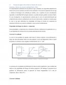 Resumen de papers sobre modelo no lineales del concreto