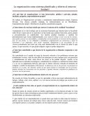 Organización y Entorno