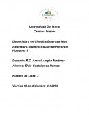 Análisis de Recursos Humanos Gamesa