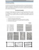 TECNICA DE REPRESENTACIÓN TEXTURA