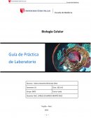 Biología Celular. MITOSIS