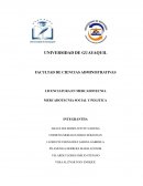 Micro y Macro entorno & Mercado Meta