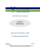 Gestion de Calidad ACTIVIDAD 1