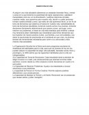 Ensayo estilo de vida