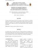 PROFUNDIZACIÓN DEL PATRÓN BIOPSICOSOCIAL Y LAS REACCIONES PSICOFISIOLÓGICAS QUE PRESENTA UN INDIVIDUO