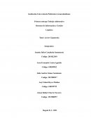 Trabajo colaborativo Sistemas de Información y Gestión Logística