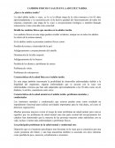 Cambios físicos en la adultez tardía