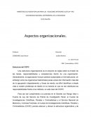Estructura del CICPC