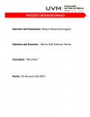 Actividad: diseño organizacional: jerarquización, departamentalización y tramo de control