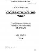 PLAN DE MARKETING COOPERATIVA MOLINOS “G&G”