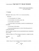 Cálculo Vectorial