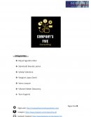 Resumen empresarial COMPANY'S FIVE