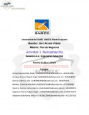 Gestion de Negocios “SERVICIO AUTOMOTRIZ ALIANZA”