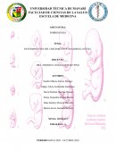 DETERMINANTES DEL CRECIMIENTO Y DESARROLLO FETAL