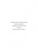 La Constitución Política y el Estatuto Administrativo