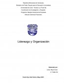 LA CONSTRUCCION Y DESARROLLO DE UNA INFRAESTRUCTURA PARA EL SISTEMA DEL LIDERAZGO