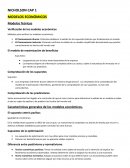NICHOLSON CAP 1 MODELOS ECONÓMICOS