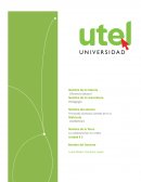 La colaboracion en redes