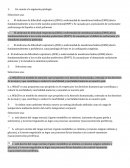 Guía de Lectura Transición, Recepción del RN de Termino y de Riesgo