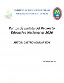PUNTOS DE PARTIDA DEL PROYECTO EDUCATIVO NACIONAL AL 2036