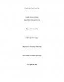 Estudio de caso Coca.Cola