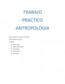 Antropologia. Análisis de la película “YO VIERNES”