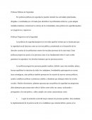 Políticas de seguridad en el país