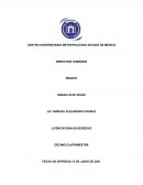 Ensayo sobre derechos humanos