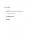 GESTION DE PROYECTOS