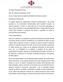 Ensayo sobre principios fundamentales del derecho procesal