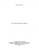 GESTIÓN EN CIENCIA Y TECNOLOGÍA