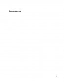 Generalidades del proyecto. Descripción de la empresa u organización