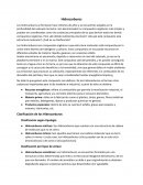 HIDROCARBUROS